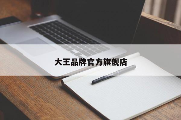 大王品牌官方旗舰店