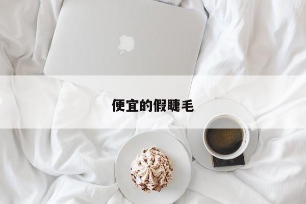 便宜的假睫毛