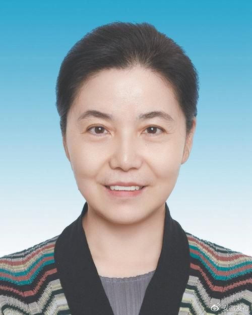 重磅!丁向群出任中国人保党委书记