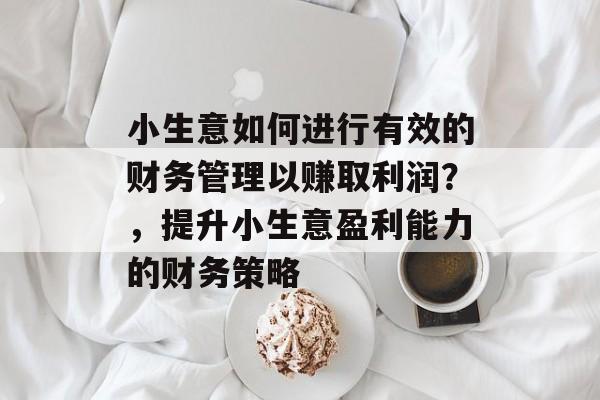 小生意如何进行有效的财务管理以赚取利润?,提升小生意盈利能力的财务策略 小生意如何进行有效的财务管理以赚取利润?,提升小生意盈利能力的财务策略