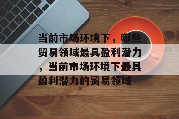 当前市场环境下，哪些贸易领域最具盈利潜力，当前市场环境下最具盈利潜力的贸易领域