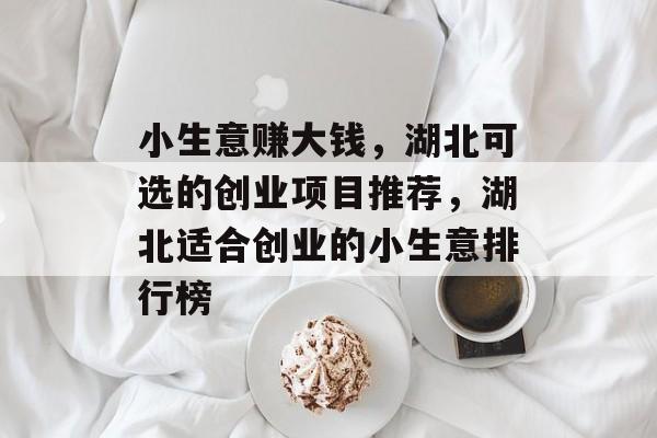 小生意赚大钱,湖北可选的创业项目推荐,湖北适合创业的小生意排行榜 小生意赚大钱,湖北可选的创业项目推荐,湖北适合创业的小生意排行榜