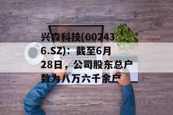 兴森科技(002436.SZ)：截至6月28日，公司股东总户数为八万六千余户