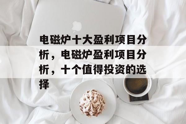 电磁炉十大盈利项目分析,电磁炉盈利项目分析,十个值得投资的选择 电磁炉十大盈利项目分析,电磁炉盈利项目分析,十个值得投资的选择