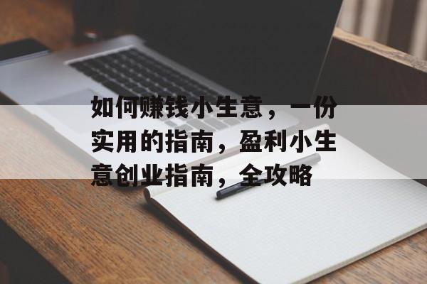 如何赚钱小生意，一份实用的指南，盈利小生意创业指南，全攻略