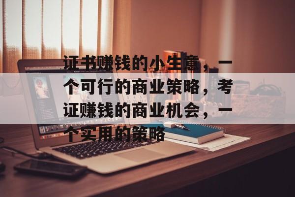 证书赚钱的小生意,一个可行的商业策略,考证赚钱的商业机会,一个实用的策略 证书赚钱的小生意,一个可行的商业策略,考证赚钱的商业机会,一个实用的策略