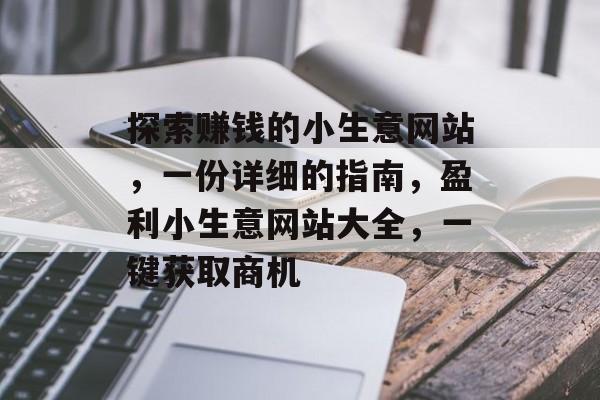 探索赚钱的小生意网站，一份详细的指南，盈利小生意网站大全，一键获取商机
