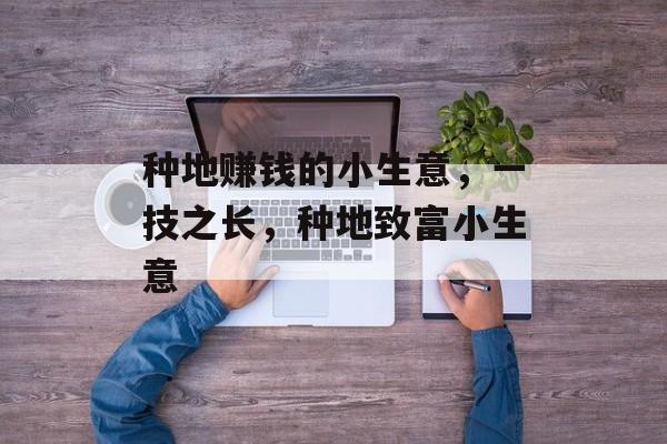 种地赚钱的小生意，一技之长，种地致富小生意