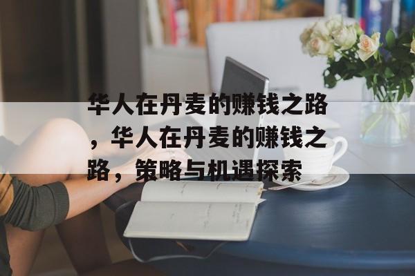 华人在丹麦的赚钱之路，华人在丹麦的赚钱之路，策略与机遇探索