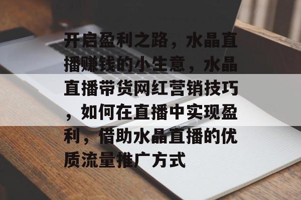 开启盈利之路，水晶直播赚钱的小生意，水晶直播带货网红营销技巧，如何在直播中实现盈利，借助水晶直播的优质流量推广方式