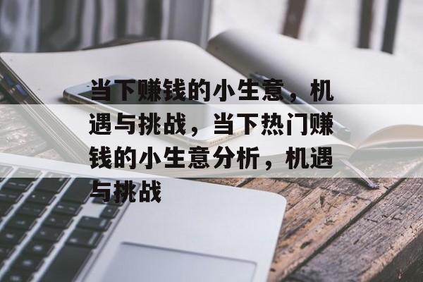 当下赚钱的小生意,机遇与挑战,当下热门赚钱的小生意分析,机遇与挑战 当下赚钱的小生意,机遇与挑战,当下热门赚钱的小生意分析,机遇与挑战