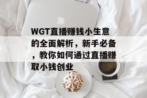 WGT直播赚钱小生意的全面解析，新手必备，教你如何通过直播赚取小钱创业