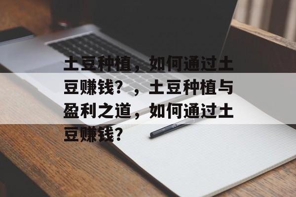 土豆种植，如何通过土豆赚钱？，土豆种植与盈利之道，如何通过土豆赚钱？