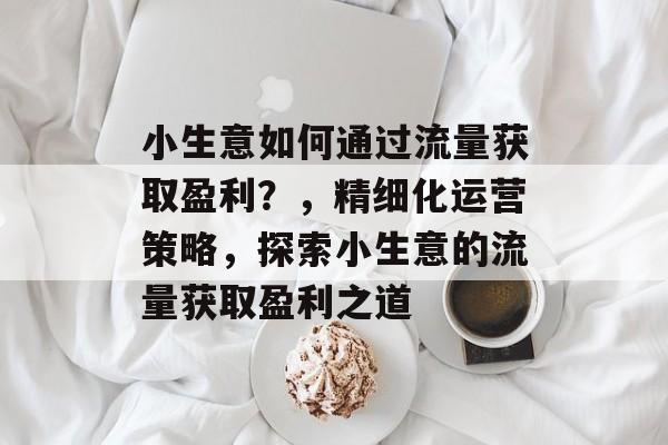 小生意如何通过流量获取盈利?,精细化运营策略,探索小生意的流量获取盈利之道 小生意如何通过流量获取盈利?,精细化运营策略,探索小生意的流量获取盈利之道
