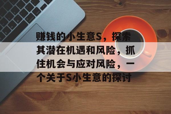 赚钱的小生意S,探索其潜在机遇和风险,抓住机会与应对风险,一个关于S小生意的探讨 赚钱的小生意S,探索其潜在机遇和风险,抓住机会与应对风险,一个关于S小生意的探讨