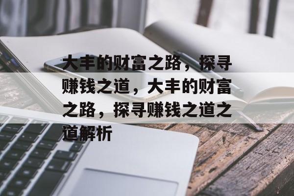 大丰的财富之路,探寻赚钱之道,大丰的财富之路,探寻赚钱之道之道解析 大丰的财富之路,探寻赚钱之道,大丰的财富之路,探寻赚钱之道之道解析