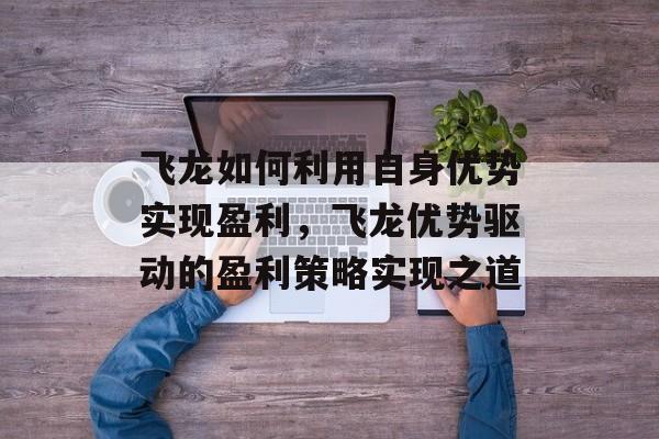 飞龙如何利用自身优势实现盈利,飞龙优势驱动的盈利策略实现之道 飞龙如何利用自身优势实现盈利,飞龙优势驱动的盈利策略实现之道