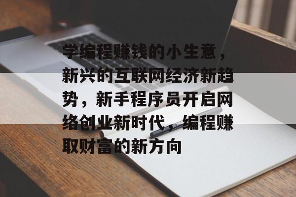 学编程赚钱的小生意，新兴的互联网经济新趋势，新手程序员开启网络创业新时代，编程赚取财富的新方向