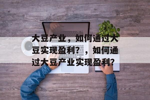 大豆产业,如何通过大豆实现盈利?,如何通过大豆产业实现盈利? 大豆产业,如何通过大豆实现盈利?,如何通过大豆产业实现盈利?