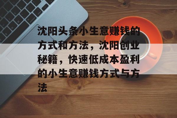 沈阳头条小生意赚钱的方式和方法,沈阳创业秘籍,快速低成本盈利的小生意赚钱方式与方法 沈阳头条小生意赚钱的方式和方法,沈阳创业秘籍,快速低成本盈利的小生意赚钱方式与方法