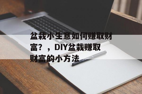 盆栽小生意如何赚取财富?,DIY盆栽赚取财富的小方法 盆栽小生意如何赚取财富?,DIY盆栽赚取财富的小方法