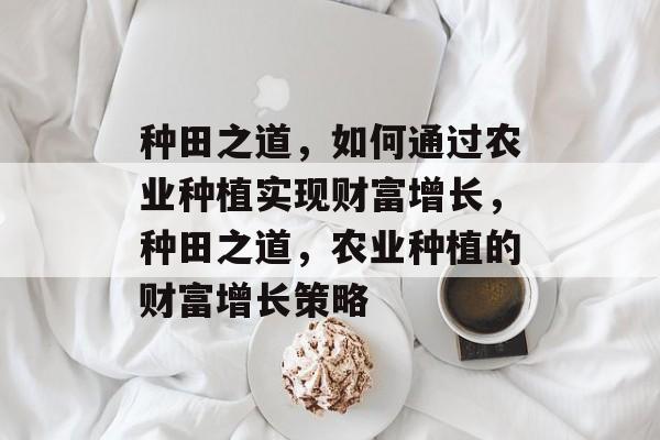 种田之道,如何通过农业种植实现财富增长,种田之道,农业种植的财富增长策略 种田之道,如何通过农业种植实现财富增长,种田之道,农业种植的财富增长策略