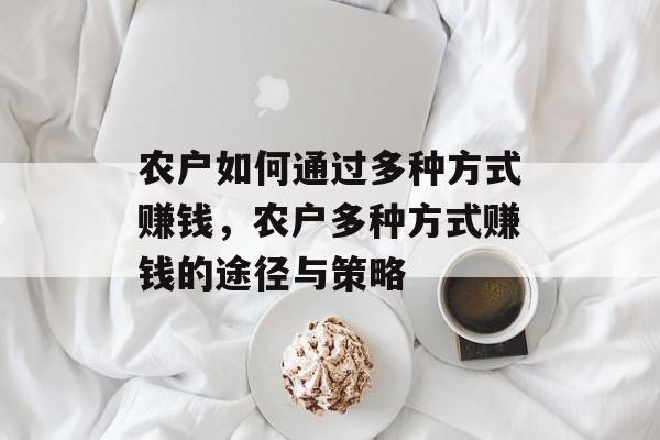 农户如何通过多种方式赚钱,农户多种方式赚钱的途径与策略 农户如何通过多种方式赚钱,农户多种方式赚钱的途径与策略