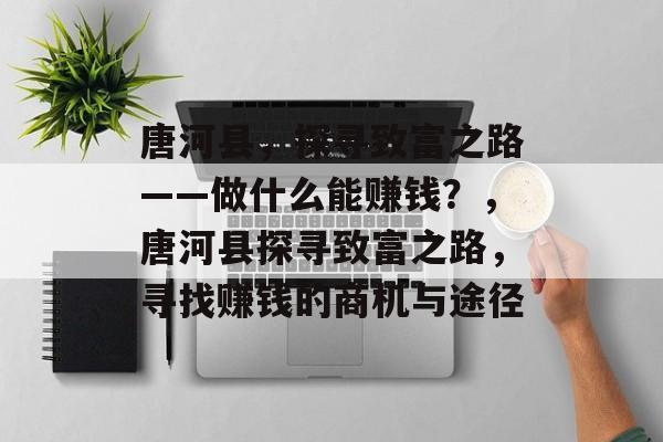 唐河县,探寻致富之路——做什么能赚钱?,唐河县探寻致富之路,寻找赚钱的商机与途径 唐河县,探寻致富之路——做什么能赚钱?,唐河县探寻致富之路,寻找赚钱的商机与途径