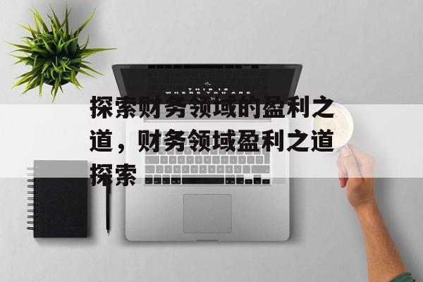 探索财务领域的盈利之道,财务领域盈利之道探索 探索财务领域的盈利之道,财务领域盈利之道探索