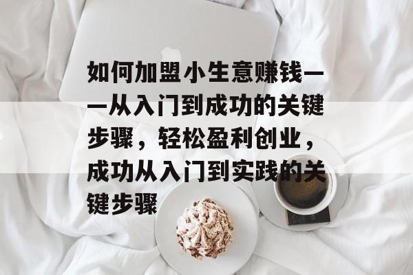 如何加盟小生意赚钱——从入门到成功的关键步骤,轻松盈利创业,成功从入门到实践的关键步骤 如何加盟小生意赚钱——从入门到成功的关键步骤,轻松盈利创业,成功从入门到实践的关键步骤
