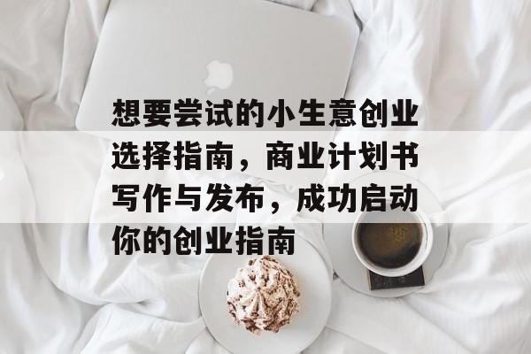 想要尝试的小生意创业选择指南,商业计划书写作与发布,成功启动你的创业指南 想要尝试的小生意创业选择指南,商业计划书写作与发布,成功启动你的创业指南