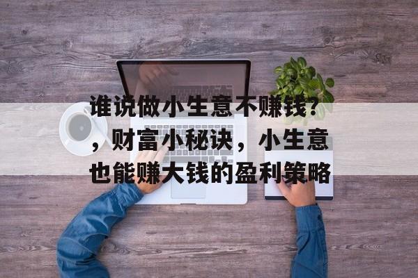 谁说做小生意不赚钱?,财富小秘诀,小生意也能赚大钱的盈利策略 谁说做小生意不赚钱?,财富小秘诀,小生意也能赚大钱的盈利策略