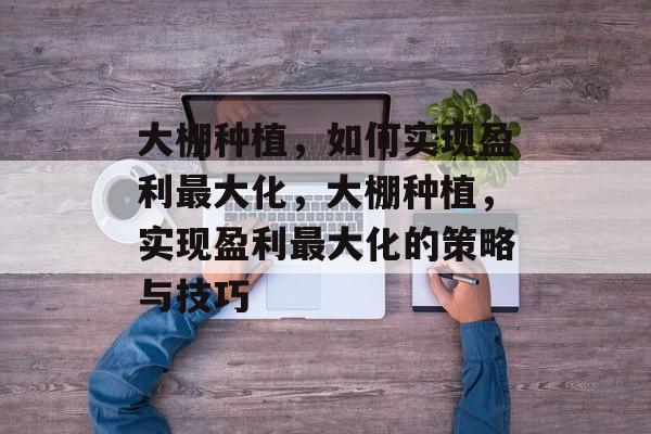 大棚种植,如何实现盈利最大化,大棚种植,实现盈利最大化的策略与技巧 大棚种植,如何实现盈利最大化,大棚种植,实现盈利最大化的策略与技巧