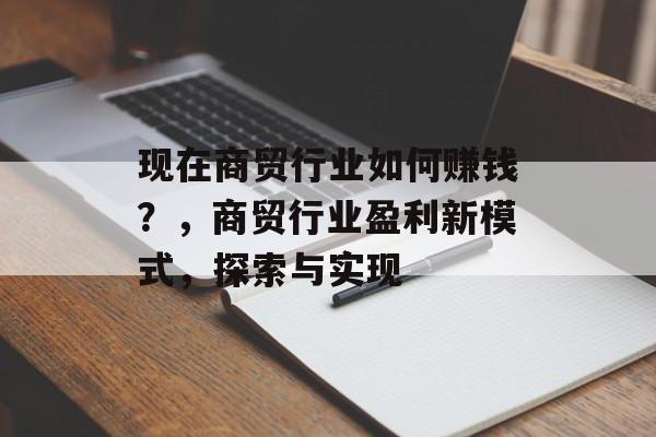 现在商贸行业如何赚钱?,商贸行业盈利新模式,探索与实现 现在商贸行业如何赚钱?,商贸行业盈利新模式,探索与实现