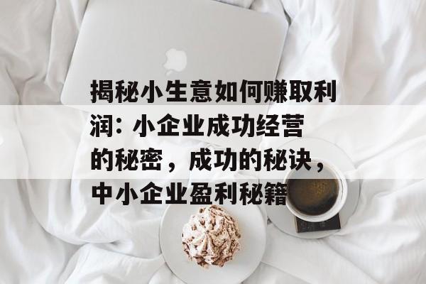 揭秘小生意如何赚取利润: 小企业成功经营的秘密,成功的秘诀,中小企业盈利秘籍 揭秘小生意如何赚取利润: 小企业成功经营的秘密,成功的秘诀,中小企业盈利秘籍