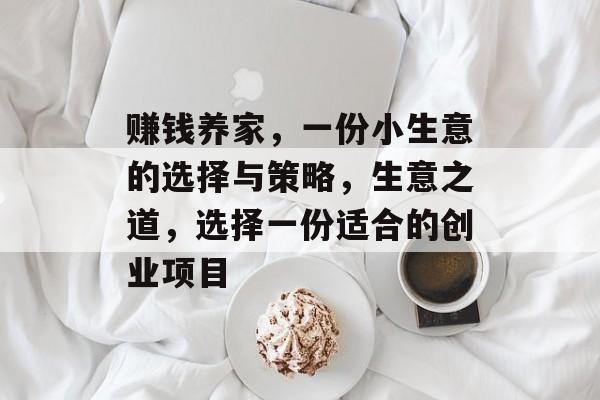 赚钱养家，一份小生意的选择与策略，生意之道，选择一份适合的创业项目