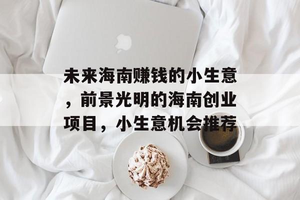 未来海南赚钱的小生意,前景光明的海南创业项目,小生意机会推荐 未来海南赚钱的小生意,前景光明的海南创业项目,小生意机会推荐