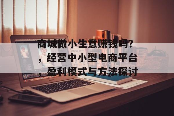 商城做小生意赚钱吗?,经营中小型电商平台,盈利模式与方法探讨 商城做小生意赚钱吗?,经营中小型电商平台,盈利模式与方法探讨