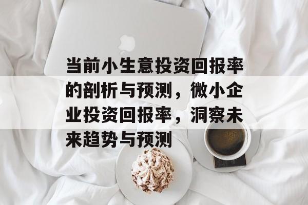 当前小生意投资回报率的剖析与预测,微小企业投资回报率,洞察未来趋势与预测 当前小生意投资回报率的剖析与预测,微小企业投资回报率,洞察未来趋势与预测