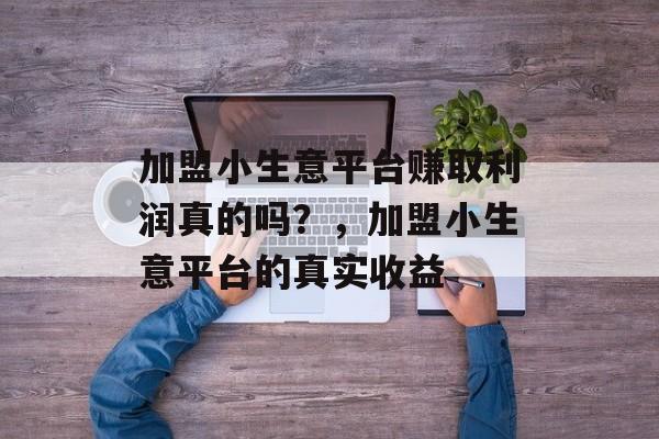 加盟小生意平台赚取利润真的吗?,加盟小生意平台的真实收益 加盟小生意平台赚取利润真的吗?,加盟小生意平台的真实收益