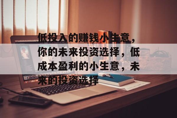 低投入的赚钱小生意,你的未来投资选择,低成本盈利的小生意,未来的投资选择 低投入的赚钱小生意,你的未来投资选择,低成本盈利的小生意,未来的投资选择