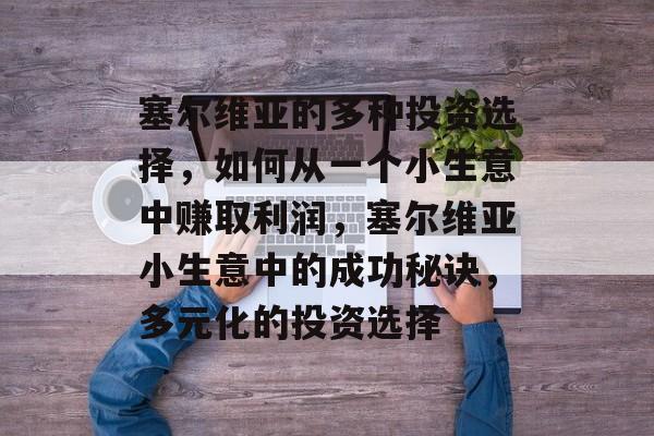 塞尔维亚的多种投资选择,如何从一个小生意中赚取利润,塞尔维亚小生意中的成功秘诀,多元化的投资选择 塞尔维亚的多种投资选择,如何从一个小生意中赚取利润,塞尔维亚小生意中的成功秘诀,多元化的投资选择