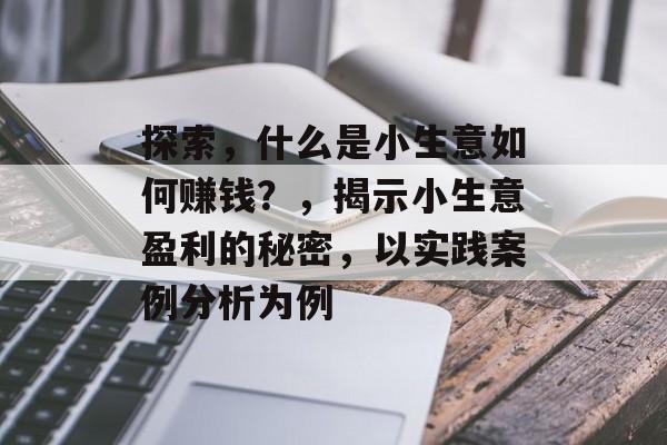 探索,什么是小生意如何赚钱?,揭示小生意盈利的秘密,以实践案例分析为例 探索,什么是小生意如何赚钱?,揭示小生意盈利的秘密,以实践案例分析为例