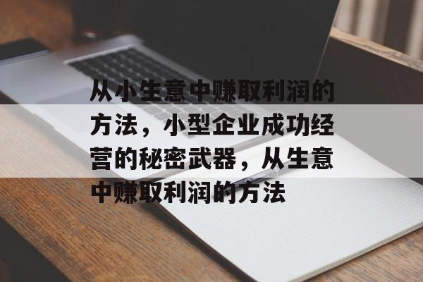 从小生意中赚取利润的方法,小型企业成功经营的秘密武器,从生意中赚取利润的方法 从小生意中赚取利润的方法,小型企业成功经营的秘密武器,从生意中赚取利润的方法