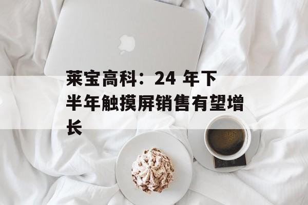 莱宝高科：24 年下半年触摸屏销售有望增长