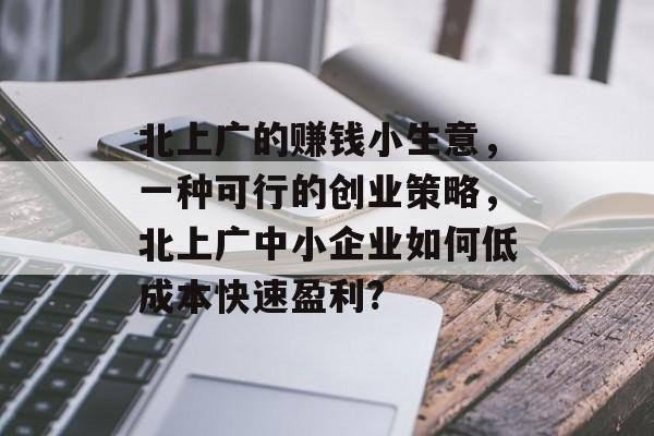 北上广的赚钱小生意,一种可行的创业策略,北上广中小企业如何低成本快速盈利? 北上广的赚钱小生意,一种可行的创业策略,北上广中小企业如何低成本快速盈利?