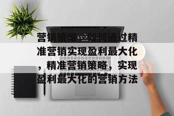 营销策略,如何通过精准营销实现盈利最大化,精准营销策略,实现盈利最大化的营销方法 营销策略,如何通过精准营销实现盈利最大化,精准营销策略,实现盈利最大化的营销方法