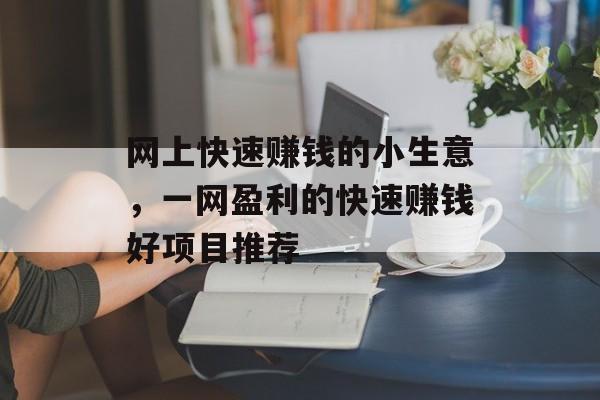 网上快速赚钱的小生意，一网盈利的快速赚钱好项目推荐