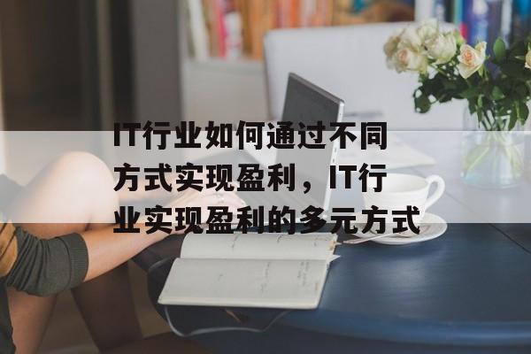 IT行业如何通过不同方式实现盈利,IT行业实现盈利的多元方式 IT行业如何通过不同方式实现盈利,IT行业实现盈利的多元方式