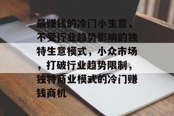 最赚钱的冷门小生意,不受行业趋势影响的独特生意模式,小众市场,打破行业趋势限制,独特商业模式的冷门赚钱商机 最赚钱的冷门小生意,不受行业趋势影响的独特生意模式,小众市场,打破行业趋势限制,独特商业模式的冷门赚钱商机